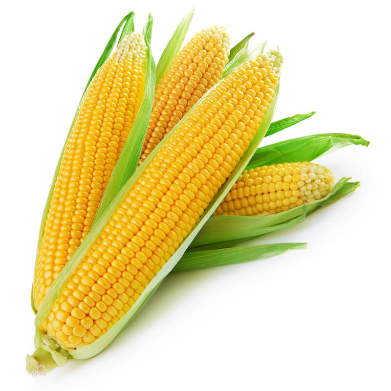 Corn – LG FMCG